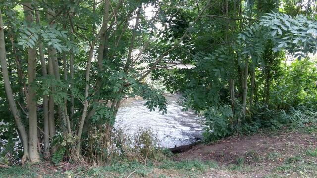 Die Flusskrümmung hinter Brücke mit hölzerner Uferbefestigung. Führt die die Fuhse Hochwasser hat sie eine enorme Geschwindigkeit.