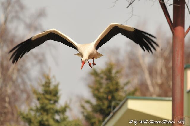 Leba/Polen