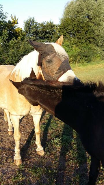 Wir helfen uns gegenseitig.