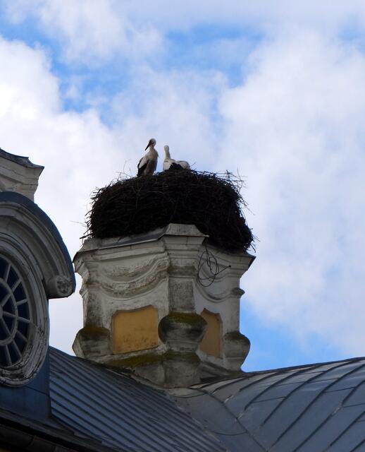 ein Storchennest auf dem Dach des Schlosses Rundale