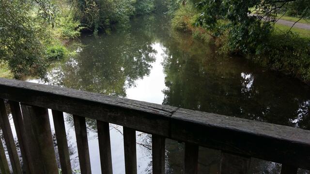 Auf der Brücke stehend geht der Blick unweigerlich in die Fuhse !