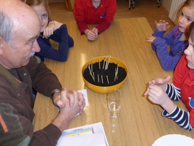 Experimente im Januar