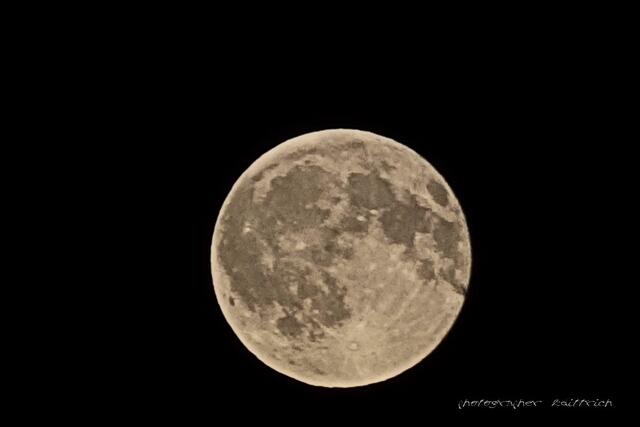 ..mein Begleiter auf der Heimfahrt..