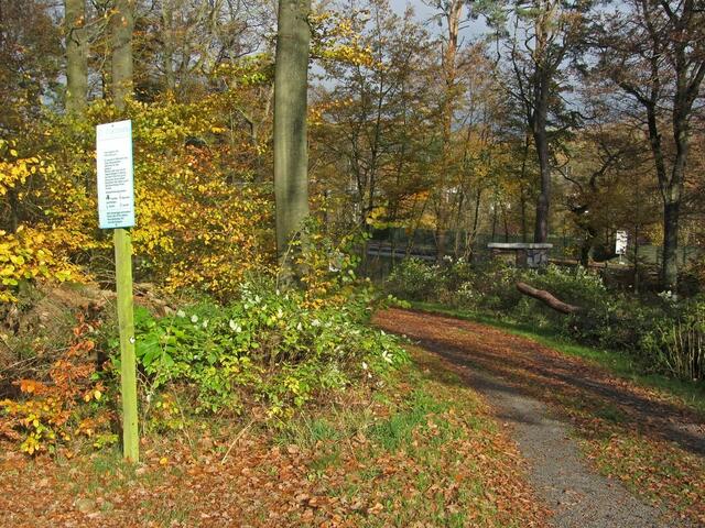 Überbleibsel vom Vita-Parcours