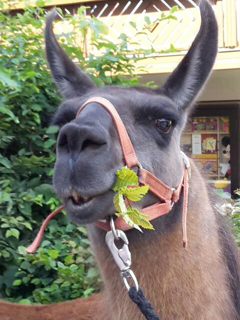 aber ich hatte doch Hunger :-)