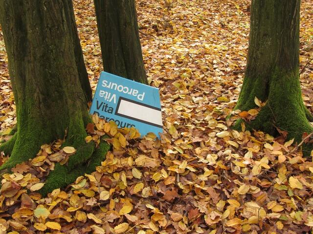Überbleibsel vom Vita-Parcours