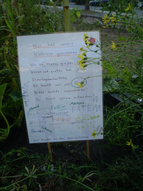 26. August 2016: Kinderfrage auf dem Schosterboorn in Bremen-Hastedt