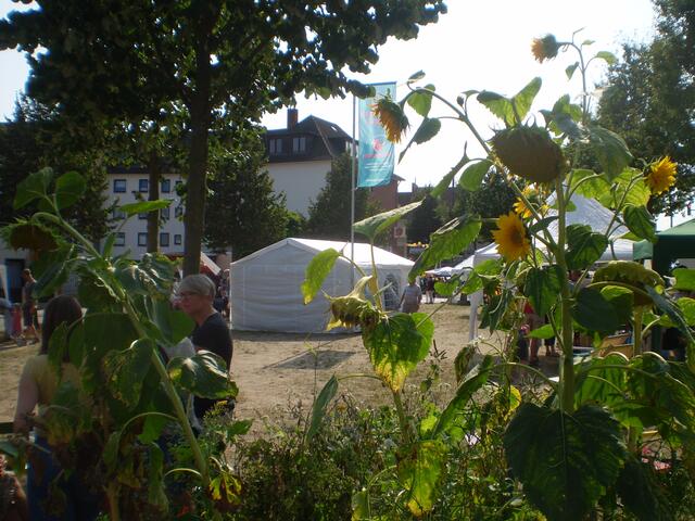 Blick auf den "KINDERGARTEN AUF DEM SCHOSTERBOORN" in Bremen-Hastedt am 27. August 2016