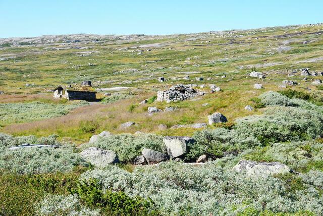 Ab und zu stehen kleine Hütten in der Landschaft die aber nur ganz selten von ihren Eigentümern zum Abschalten in der Stille der Vidda aufgesucht werden. Die  Steine dieser Hütten dürften schon den alten Wickingern Schutz geboten haben.