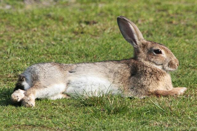 Ganz entspannt, der Hund ist ja angeleint...