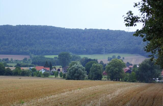 Das Dorf schmiegt sich an den Hang des Ockenser Berges. Der Wasserbaum befindet sich in einer Baumgruppe oberhalb des linken, weißen Hauses, ein Stück vorm Waldrand.