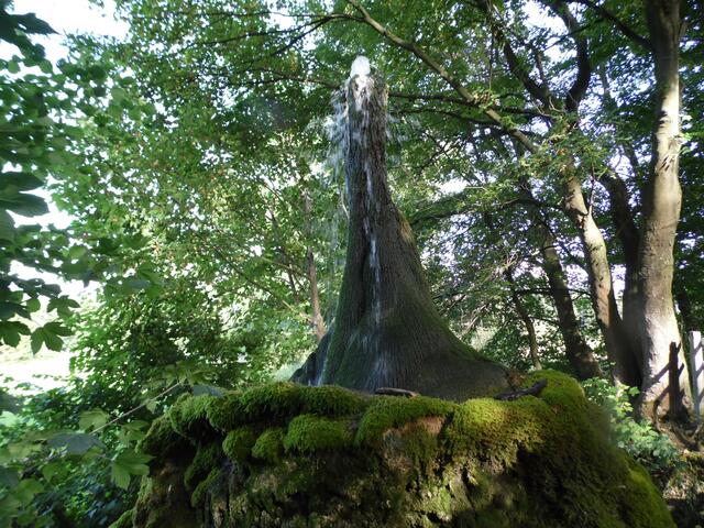 Doch am meisten beeindruckt hat uns der Wasserbaum von Ockensen. Ein Ausflug dorthin ist lohnenswert.