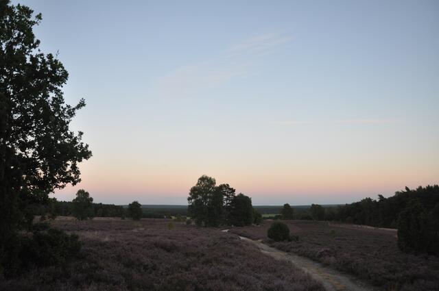 In der Abendsonne - Impressionen: Gedichte und Gesang zum 150. Geburtstag von Hermann Löns am 29. August 2016