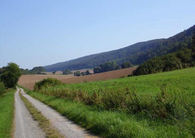 Rund um und über den Ith lässt es sich in schönster Landschaft wunderbar wandern.