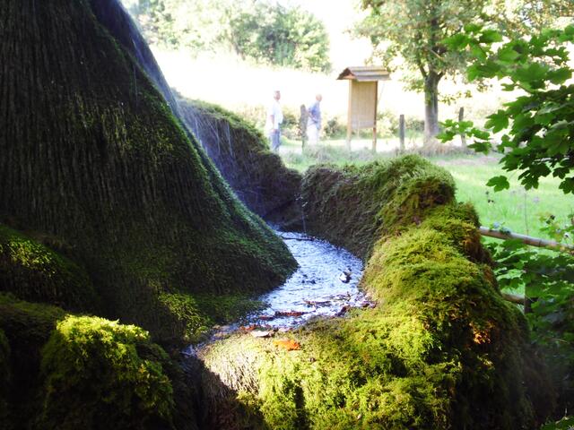 Das kalkhaltige Wasser sprüht in alle Richtungen. Tuffgestein bildet sich. Dieses wird von Moos bewachsen...