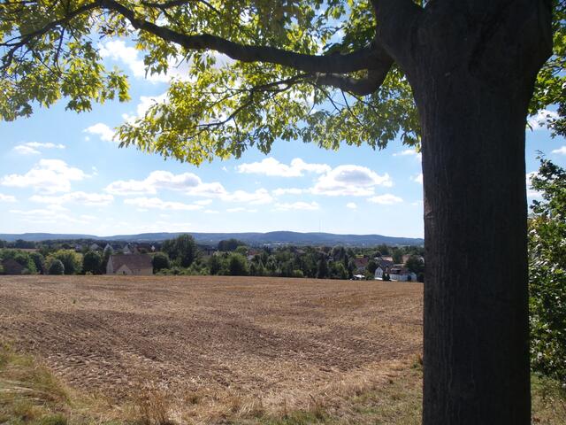 Ganz, ganz hinten das Hermanns-Denkmal. Besser zu sehen auf dem nächsten Bild, aufgenommen mit 10-fach Zoom.