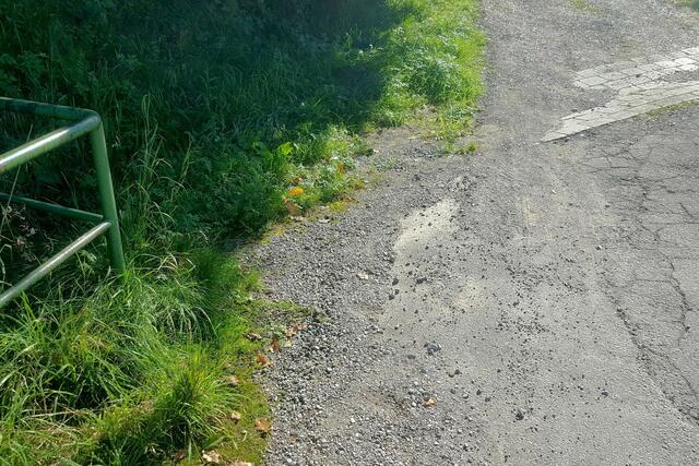 Zugewachsener und verstopfter Oberflächenwassereinlauf an der Koldung. Nicht verwunderlich, wenn beim nächsten Starkregen in Folge dessen unterhalb liegende Grundstücke überflutet werden.