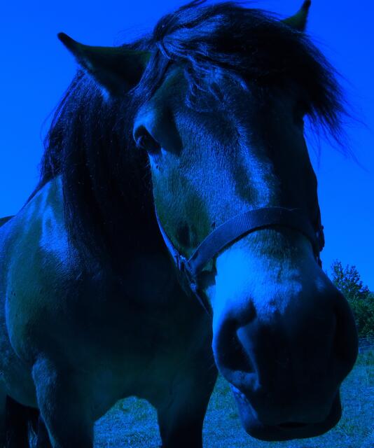 Und wiederum andere wollen dort nach Mitternacht einen Bauern beobachtet haben, der mit feurigen Pferden den Acker gepflügt hat.