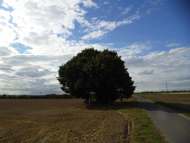 Nur selten begegnet man an diesem gottverlassenen Ort irgendeinem Menschen. Mal einem Bauern, mal einem Radfahrer oder mal einem Reiter.