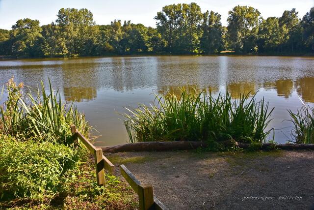 Ein Platz für Angler...