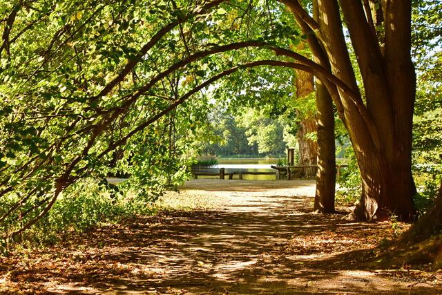 ..herbstliches Ambiente...