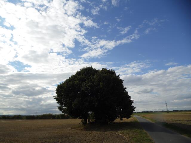 Was am Schwarzen Busch aber nachts vor sich geht und was da wirklich einmal vor langer Zeit geschehen ist, das kann ich nicht sagen und das wird wohl für immer im Dunkeln bleiben.