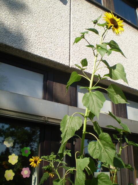 Roland zu Bremen Oberschule