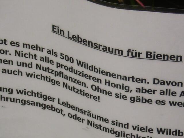 5. Bremer Integrationswoche