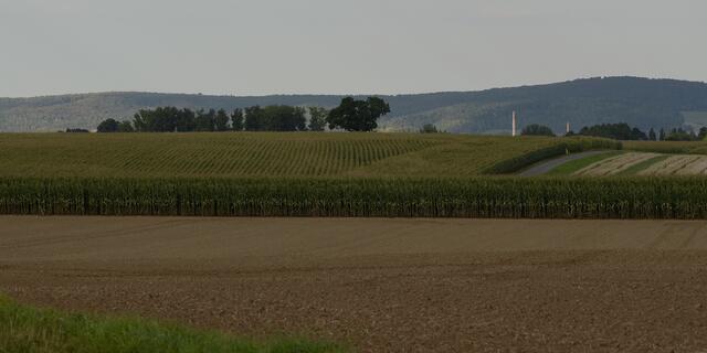 Ein Rundgang um die Felder beginnt