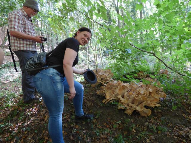 Der Größenvergleich