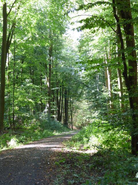Der Weg der Sonne wurde geschaft!