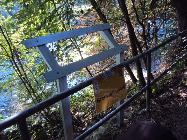 Am Donauufer bei der Brenz-Mündung