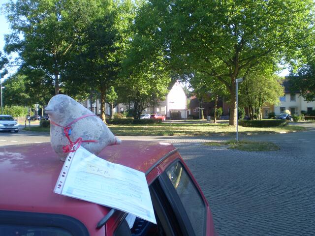 Bremer Schultaube am 15. September 2016 mit der BAKI-Bitte an die FREIE HANSESTADT BREMEN - hier beim Job-Günter-Klink-Platz