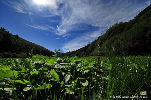 Im Ebachtal.