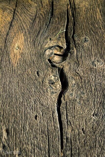 Das Holz der Tür hat schon einiges mitgemacht.