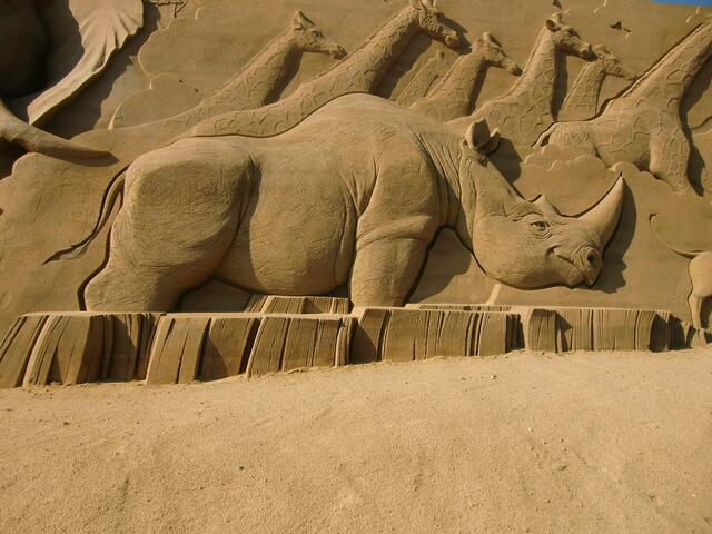 Giraffen oben, unten ein Nashorn