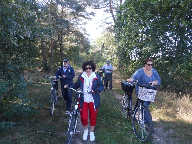 An der Helstorfer Heide