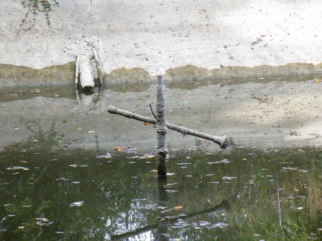 5. Fontäne im Löschteich - sonst fast vollkommen unter Wasser.