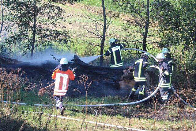Brandbekämpfung an einem morschen Baumstamm