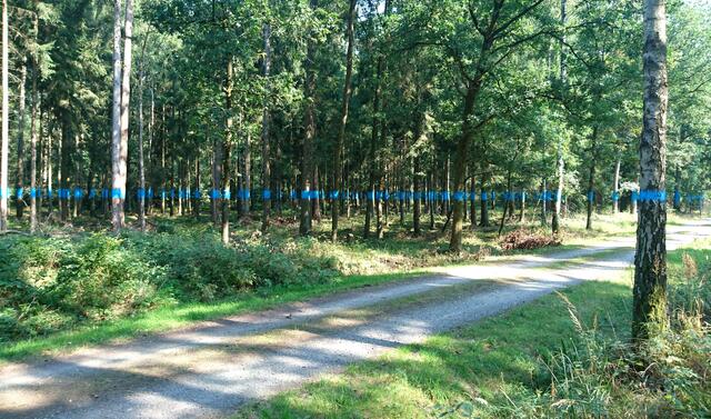 ...schließt sich über den Weg hinweg zum Kreis.