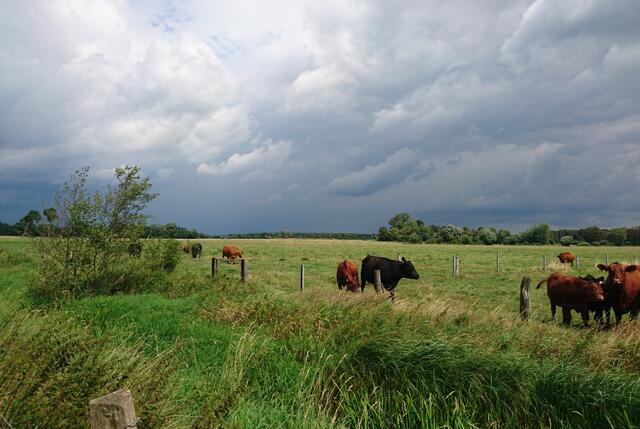 Drohende Wolken in der Wedemark
