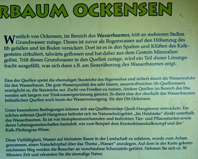 Weitere wichtige Info zum Hangmoor