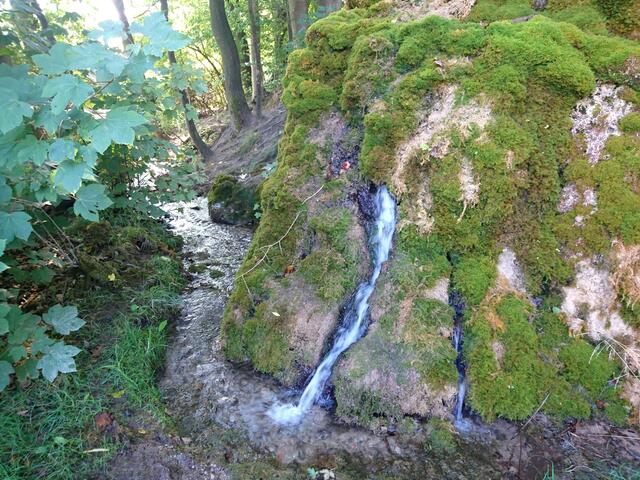 Das Wasser sucht sich seinen Weg.