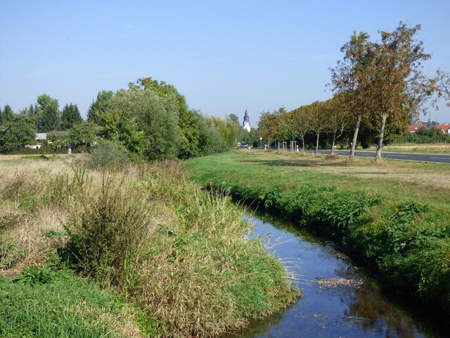 die letzten warmen sonnenstrahlen