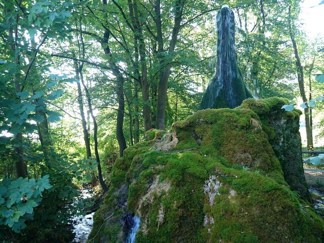 Das Wasser fließt hinab in einen Wasserlauf.