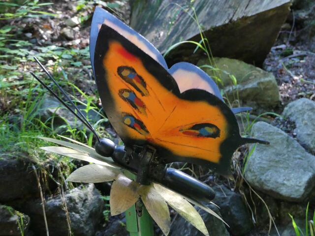 Neu entdeckte Art! :-)