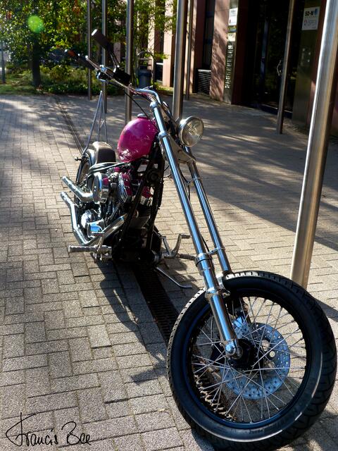 Harley Davidson