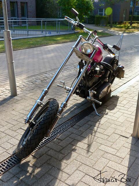 Harley Davidson