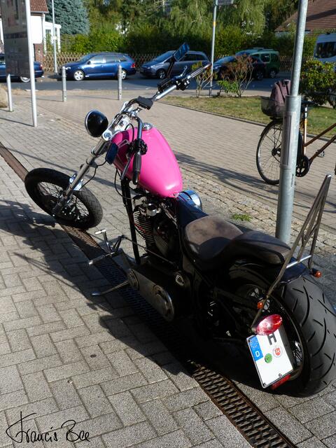 Harley Davidson
