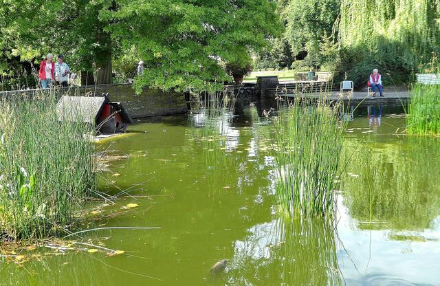 Wasserbecken